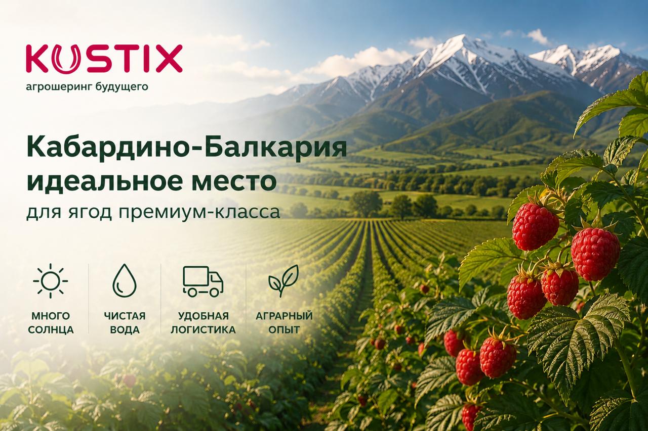 Почему первые плантации Kustix появились именно в Кабардино-Балкарии